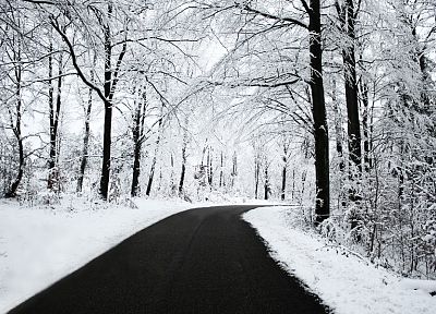 пейзажи, природа, зима, снег, деревья, дороги - обои на рабочий стол