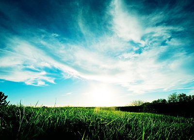 пейзажи, Солнце, трава - обои на рабочий стол