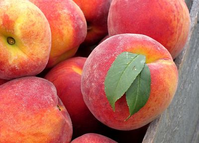 фрукты, персики - обои на рабочий стол
