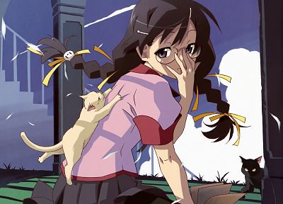 Bakemonogatari (Истории монстров), Ханекава Tsubasa, meganekko, серия Monogatari - случайные обои для рабочего стола