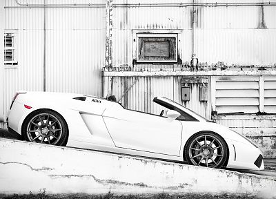 белый, автомобили, Ламборгини, монохромный, суперкары, Lamborghini Gallardo LP570-4 Performante - случайные обои для рабочего стола