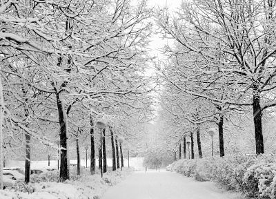 зима, снег, деревья, дороги, парки - обои на рабочий стол