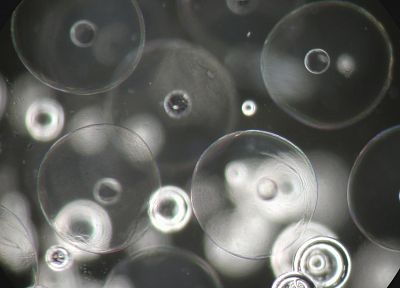 пузыри, оттенки серого - случайные обои для рабочего стола