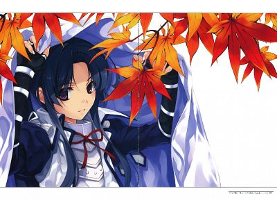 листья, Сэнгоку Ранс, Мисаки Kurehito - копия обоев рабочего стола