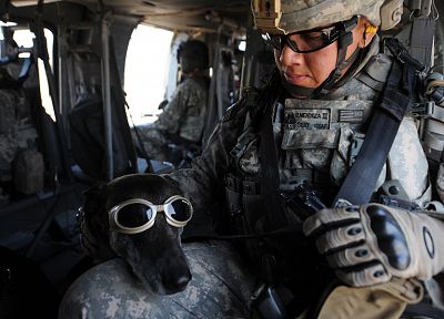 солдаты, армия, военный, животные, собаки - копия обоев рабочего стола