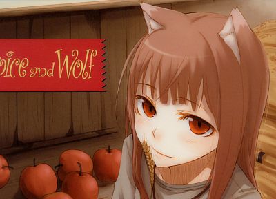 Волчица и пряности, уши животных, произведение искусства, аниме, Холо Мудрый Волк, яблоки - обои на рабочий стол