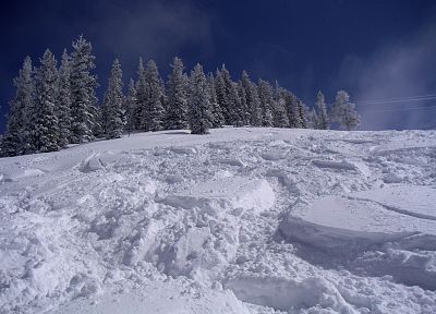 снег, деревья, лыжа, зимние пейзажи - оригинальные обои рабочего стола