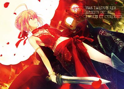 Fate/Stay Night (Судьба), Type-Moon, Сабля, Fate series (Судьба) - оригинальные обои рабочего стола
