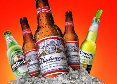 пиво, алкоголь, Heineken, Budweiser, кубики льда - копия обоев рабочего стола