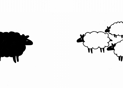 животные, овца - обои на рабочий стол