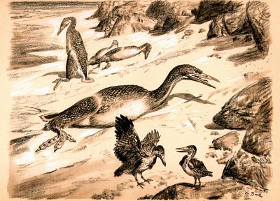 птицы, динозавры, иллюстрации, сепия, доисторический, Зденек Буриан, Гесперорнисы - обои на рабочий стол