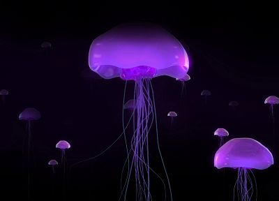 медуза - оригинальные обои рабочего стола
