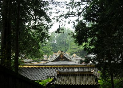 леса, крыши, Grove, Японский архитектура - случайные обои для рабочего стола