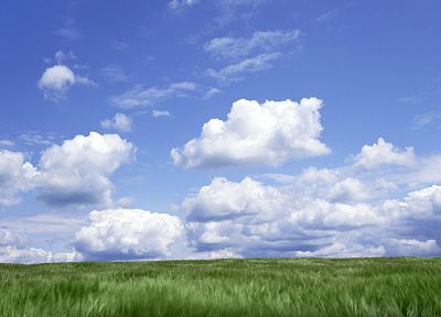 облака, луга, небо - оригинальные обои рабочего стола