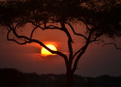 закат, Африка - копия обоев рабочего стола