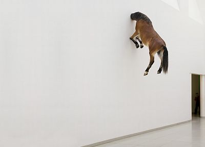 стена, лошади, произведение искусства - случайные обои для рабочего стола