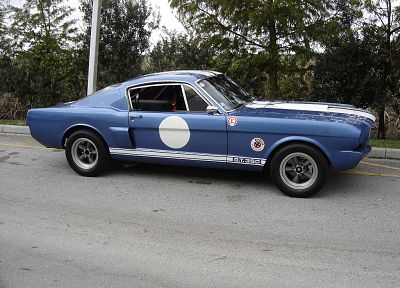 автомобили, дороги, 1967, Ford Mustang Shelby GT350, гоночные автомобили - оригинальные обои рабочего стола