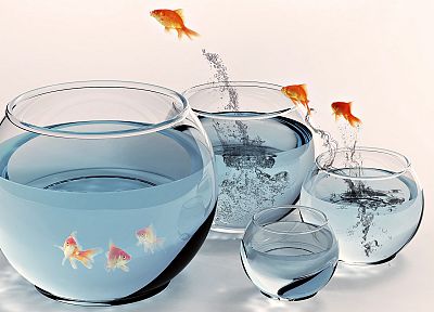 рыба, прыжки, аквариумы - похожие обои для рабочего стола