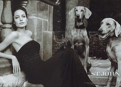 Анджелина Джоли - случайные обои для рабочего стола