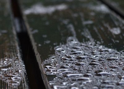 вода, дождь, дерево, капли воды, дождь на стекле - оригинальные обои рабочего стола