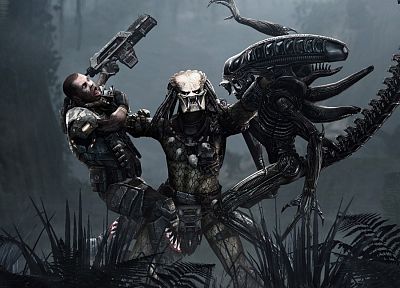 Aliens Vs Predator фильма, Иностранцы кино - похожие обои для рабочего стола