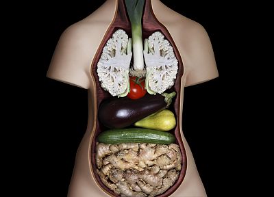 овощи, система, анатомия - копия обоев рабочего стола