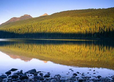 пейзажи, природа, леса, озера, Национальный парк, Монтана, Национальный парк Glacier - оригинальные обои рабочего стола