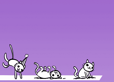 кошки, фиолетовый, рулон, партия - случайные обои для рабочего стола
