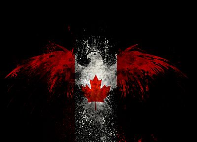 птицы, Канада, Канадский флаг - оригинальные обои рабочего стола