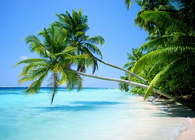 океан, пейзажи, природа, тропический, острова, пальмовые деревья, пляжи - случайные обои для рабочего стола