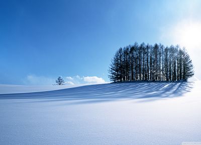 пейзажи, зима, снег, деревья, солнечный свет, зимние пейзажи - оригинальные обои рабочего стола