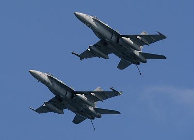 самолет, военный, FA- 18 Hornet - случайные обои для рабочего стола