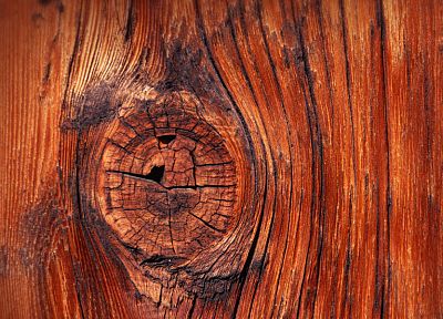 текстура древесины - обои на рабочий стол