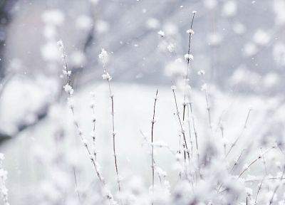 природа, зима, чудес - случайные обои для рабочего стола