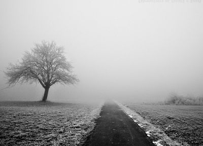 зима, туман, дороги, монохромный - обои на рабочий стол