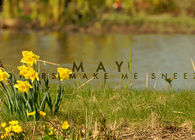 цветы, май, трава, глубина резкости, реки - обои на рабочий стол