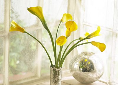 цветы, лилии, вазы, желтые цветы - оригинальные обои рабочего стола