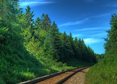 природа, леса, железнодорожные пути, железные дороги - обои на рабочий стол