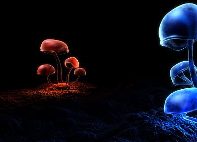 грибы, цифровое искусство - копия обоев рабочего стола