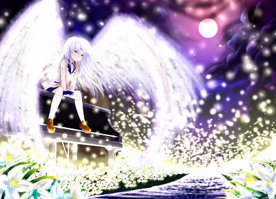 Angel Beats!, Tachibana Kanade - случайные обои для рабочего стола