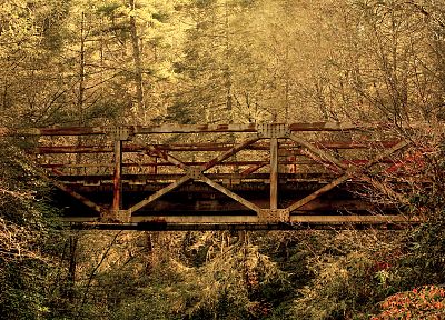 леса, мосты - оригинальные обои рабочего стола