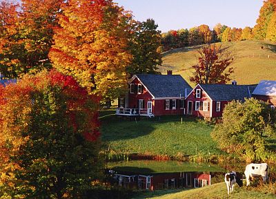 осень, хозяйства, Вермонт - обои на рабочий стол