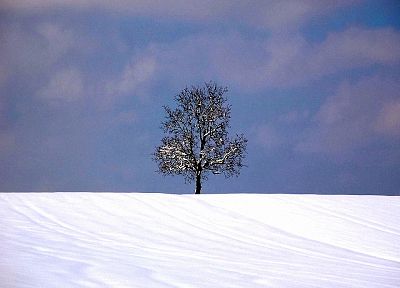 природа, зима, снег, деревья, Земля, на открытом воздухе - оригинальные обои рабочего стола