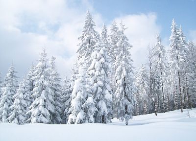 пейзажи, зима, снег, Земля - оригинальные обои рабочего стола