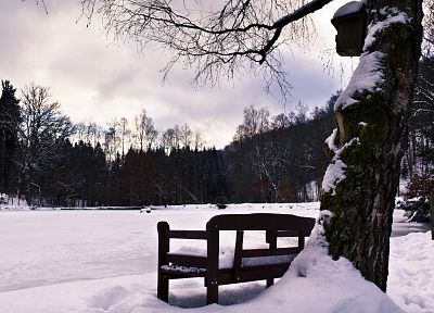 зима, скамья, зимние пейзажи - оригинальные обои рабочего стола
