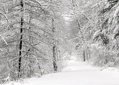 пейзажи, зима, снег - оригинальные обои рабочего стола